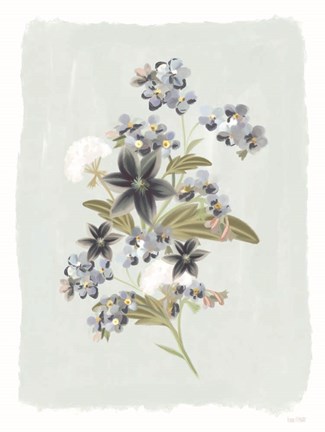 Framed Forget Me Nots Print