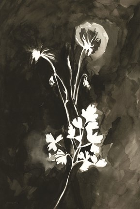 Framed Hanging Out to Dry Print