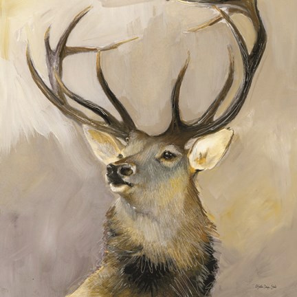 Framed Elk Study 1 Print