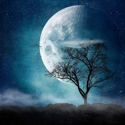 Framed Moon Blues Print