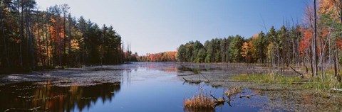 Framed Autumn trees along a lake, Catskill Mountains Print