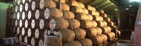 Framed Napa Wine Country Stag&#39;s LeapWine Cellars Barrel Room Print