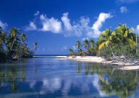 Framed Cove Polynesia Print