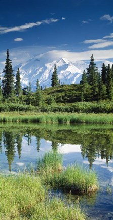 Framed Alaska, Mount McKinley Print