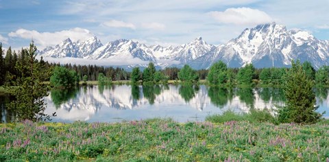 Framed Spring Grand Teton National Park WY Print