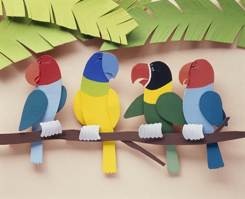 Framed Illustration birds Print