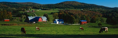 Framed Diamond Heart Farm Print