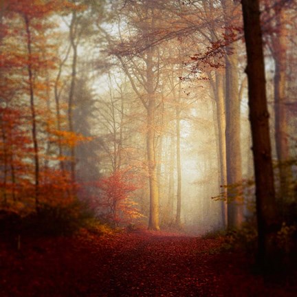 Framed Fall Hike Print