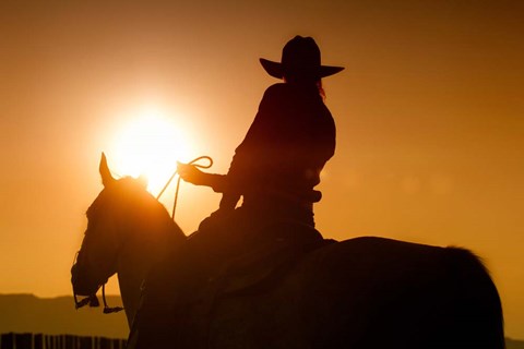 Framed Last Run Print