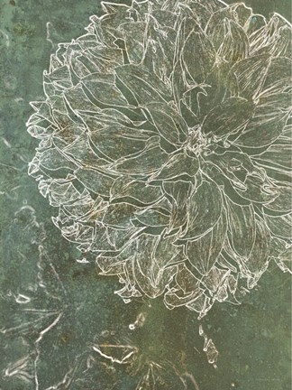 Framed Bud Growth 1 Print