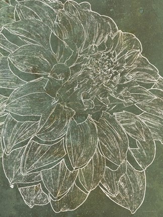 Framed Bud Growth 2 Print