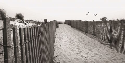 Framed Beach Path Print