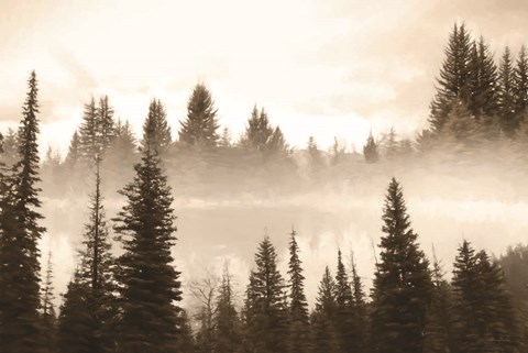 Framed Fog in the Forest Print