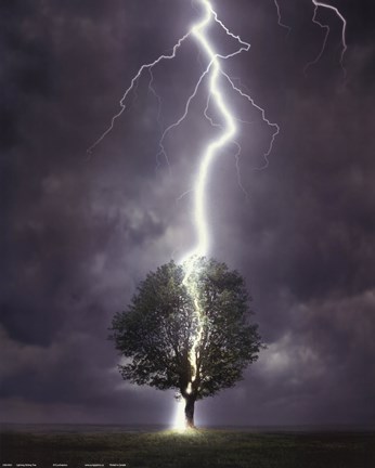 Framed Lightning Print