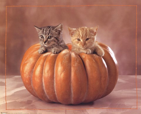 Framed Kittens Print