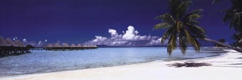 Framed Tropical Beach Panorama Print