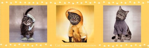 Framed Summer-Fall Collection Print