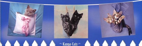 Framed Kanga-Cats Print