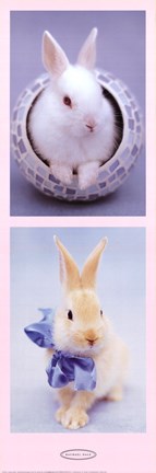 Framed Bunnies Print