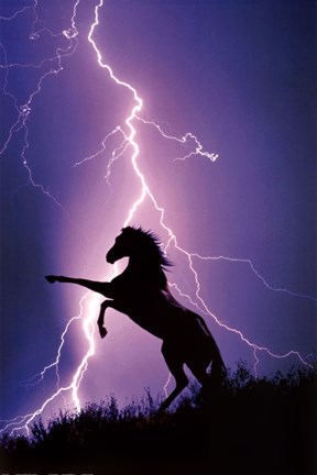 Framed Lightning And Silhouette Of Horse Print