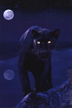 Framed Black Panther In Moonlight Print