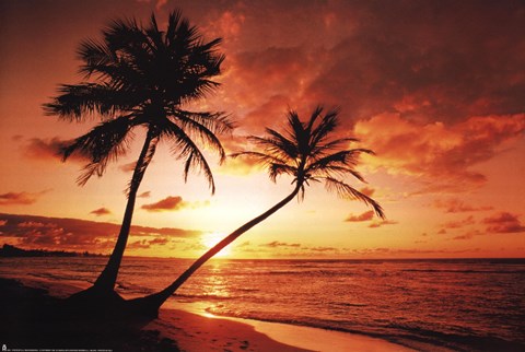 Framed Tropical Sunset Print