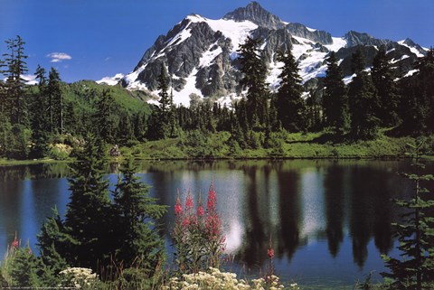 Framed Mount Shuksan Print