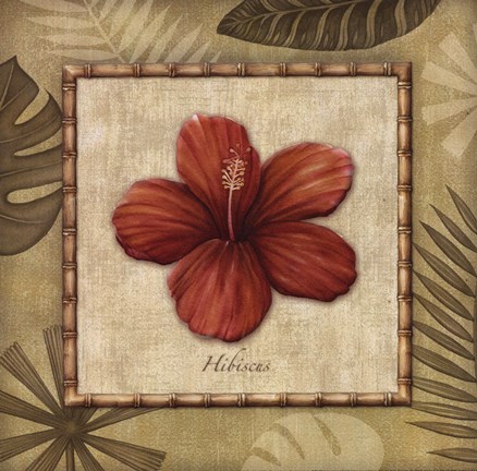 Framed Paradisio II Print