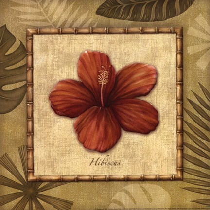 Framed Paradisio II Print