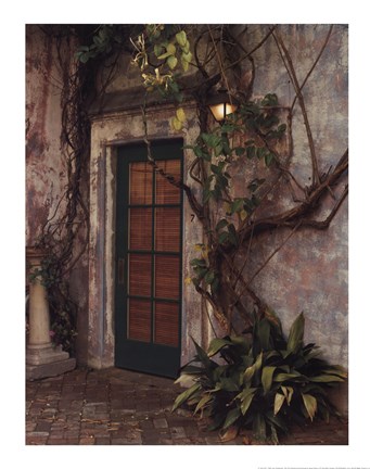 Framed Door #7 Print