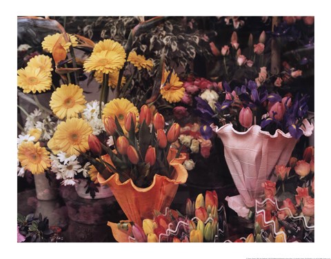 Framed Flowers, Florence Print