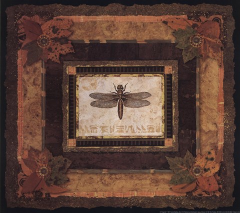Framed Dragonfly I Print