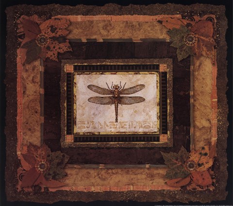 Framed Dragonfly II Print