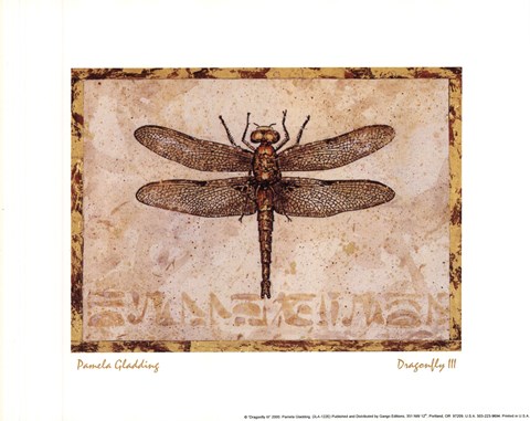 Framed Dragonfly III Print