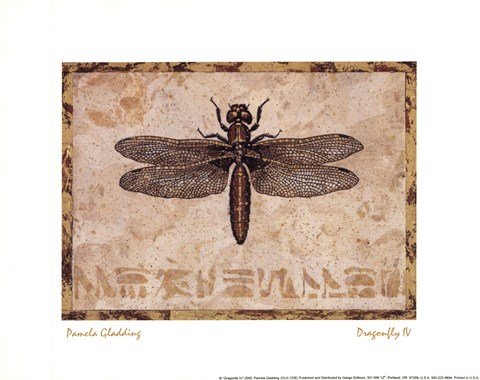 Dragonfly IV by Pamela Gladding