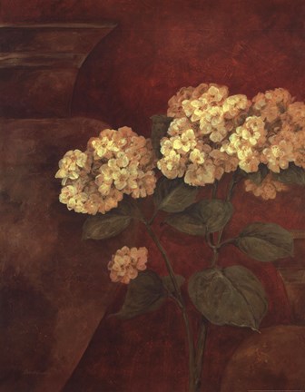 Framed Tuscan Summer II Print