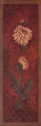 Framed Chrysanthemum Print