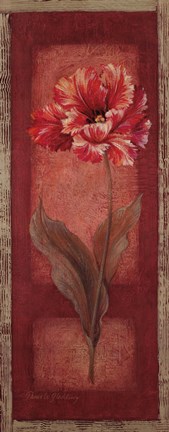 Framed Red Door Tulip Print