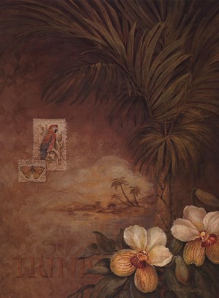 Framed West Indies Sunset II Print