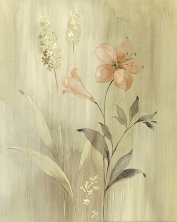 Framed Summer Silk I Print