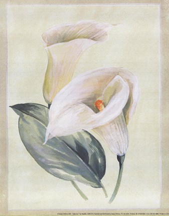 Framed Calla Lily I Print