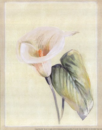 Framed Calla Lily II Print