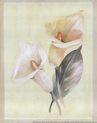 Framed Calla Lily IV Print