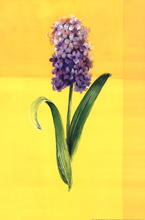 Framed Flower on Yellow Print