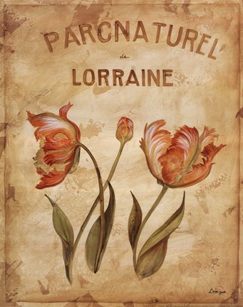 Framed Parcnaturel III Print