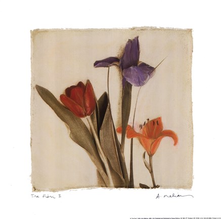 Framed Tre Fiori I Print