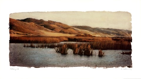 Framed Estuary II Print