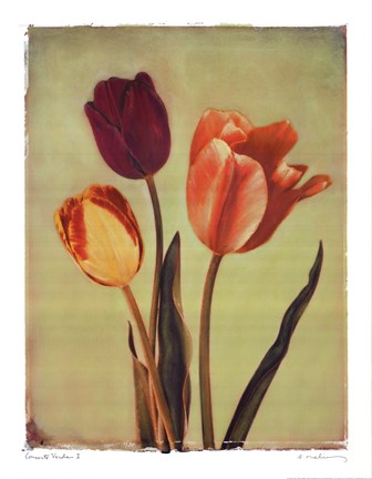 Framed Concerto Verde I Print