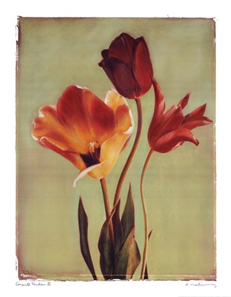 Framed Concerto Verde II Print