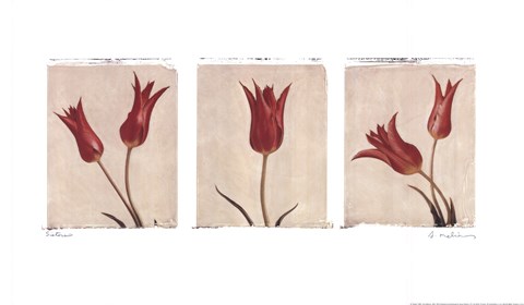 Framed Sisters Print